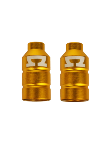 AO DOUBLE PEG KIT GOLD