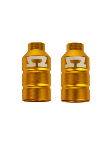 AO DOUBLE PEG KIT GOLD