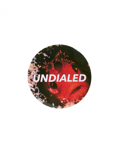 SEEMS FISHY UNDIALED STICKER