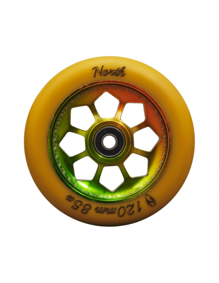 NORTH PENTAGON 120MM WHEEL GUM RASTA